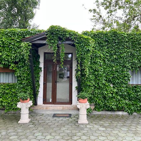 Vila Toscana Тимишоара Экстерьер фото