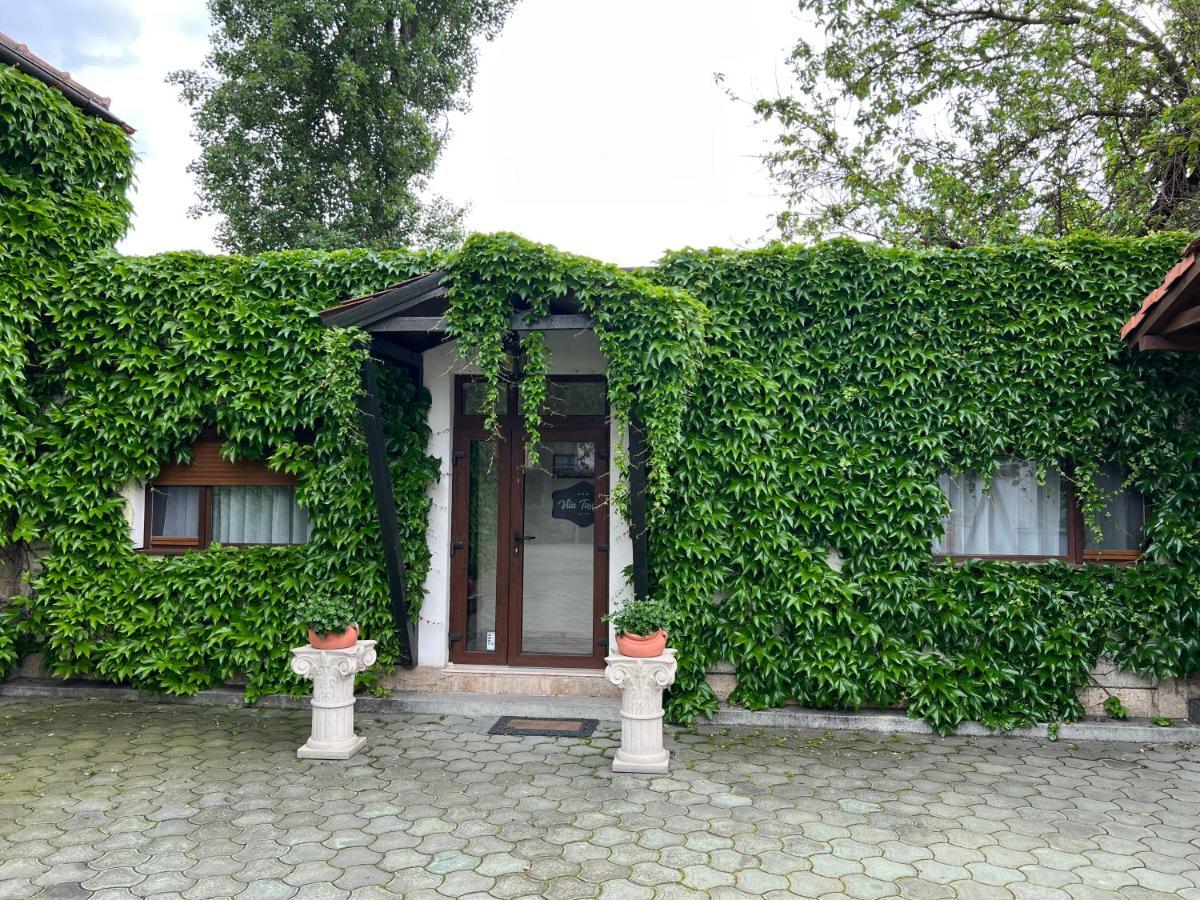 Vila Toscana Тимишоара Экстерьер фото
