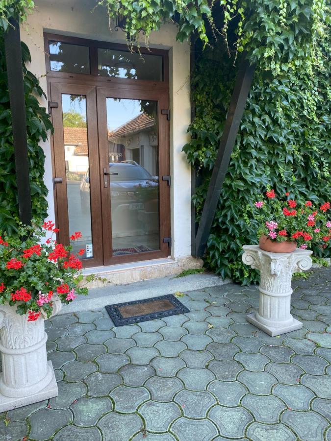 Vila Toscana Тимишоара Экстерьер фото